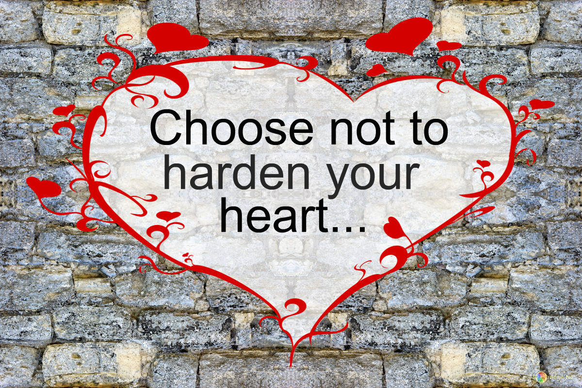 Choose Not To Harden Your Heart Barbara s Banter