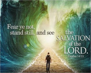 Stand Still and See the Salvation of the Lord