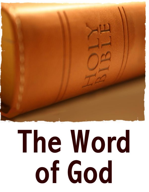 The Word of God | Barbara's Banter